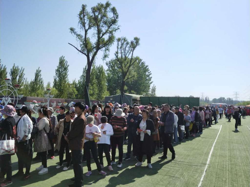 来自全国各地的游客齐聚京津国色天香牡丹园,景区车水马龙,人潮涌动